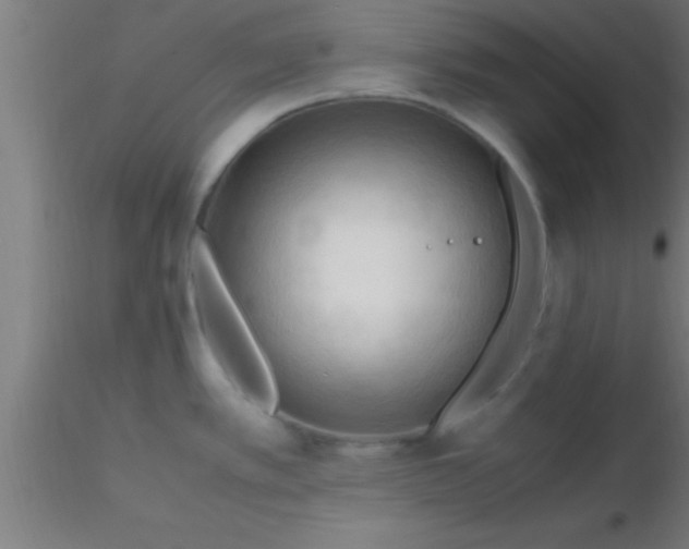 X0000116371389200912231306