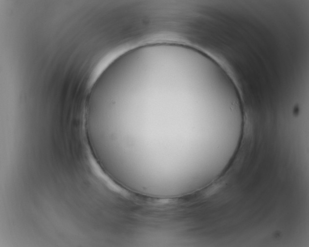 X0000116371390200912231306