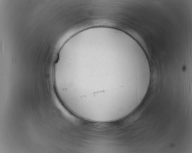 X0000116371391200912231306