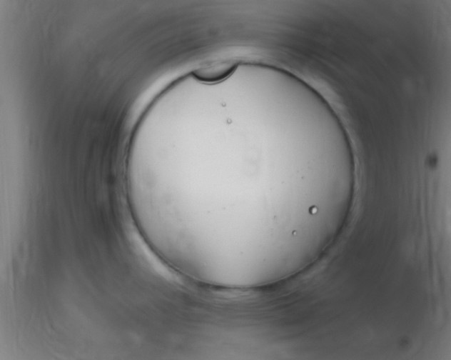 X0000116371392200912231306