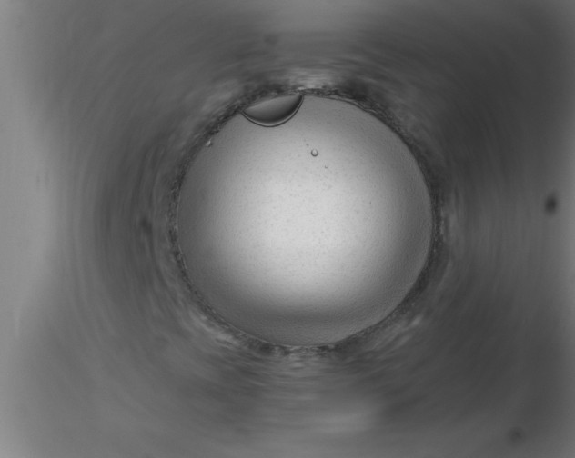 X0000116371393200912231306