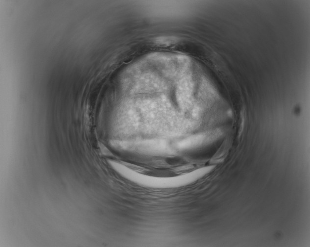 X0000116371394200912231306