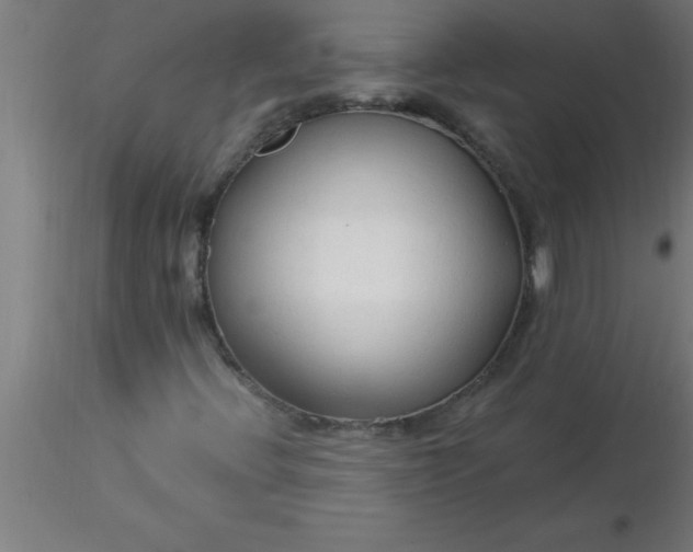 X0000116371396200912231306