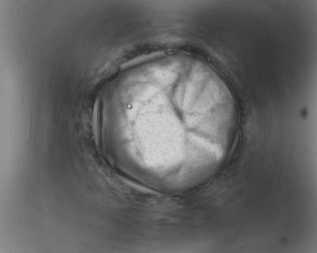 X0000116371397200912231306