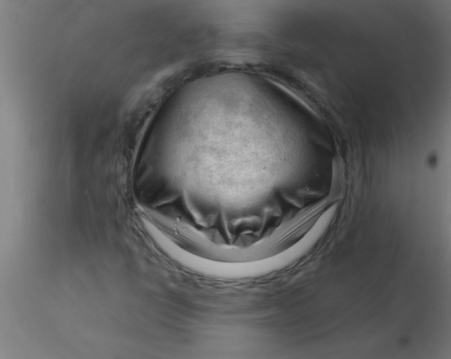 X0000116371398200912231306