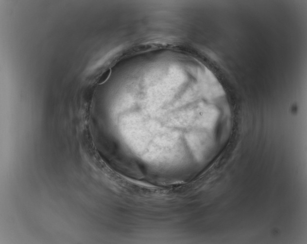 X0000116371399200912231306