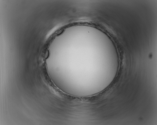 X0000116371400200912231306