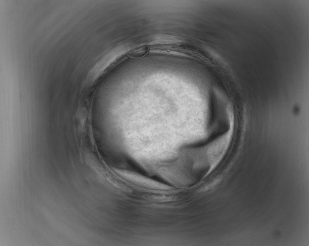 X0000116371401200912231306