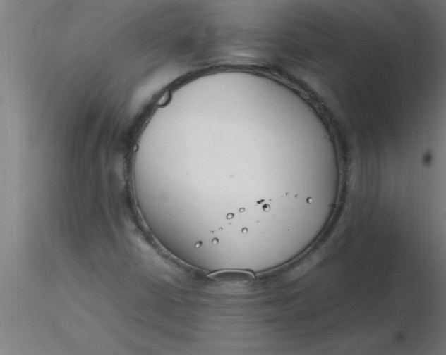 X0000116371402200912231306