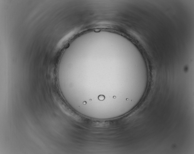 X0000116371403200912231306