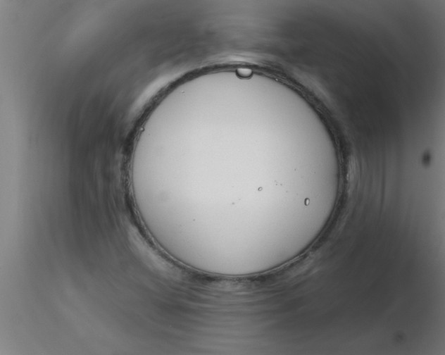 X0000116371404200912231306