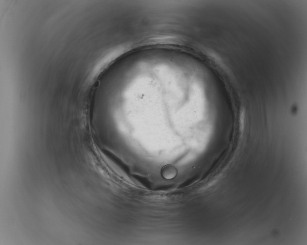 X0000116371405200912231306