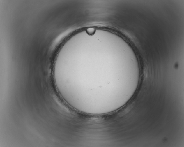 X0000116371406200912231306