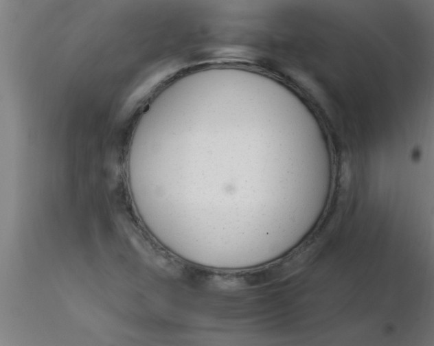 X0000116371407200912231306