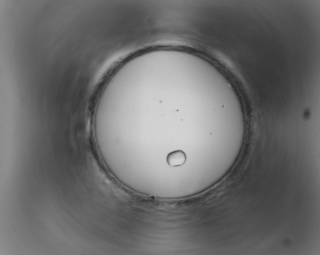 X0000116371408200912231306