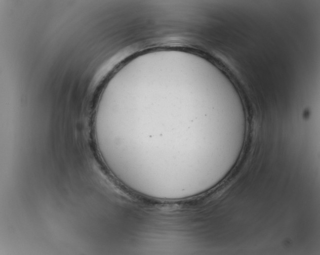 X0000116371410200912231306