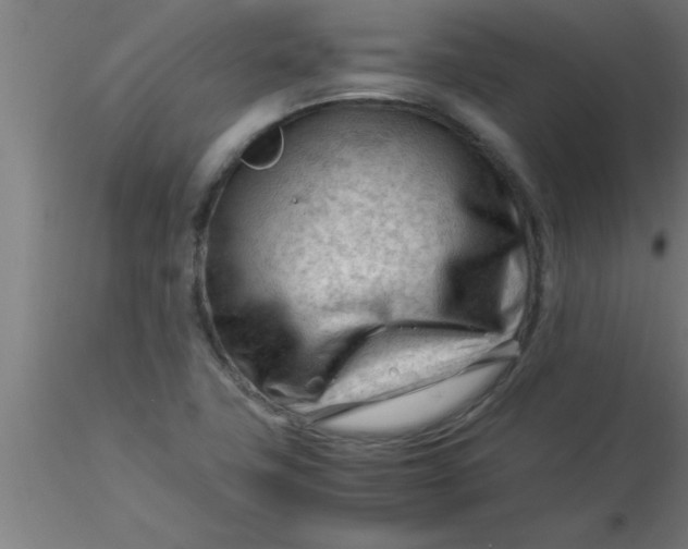 X0000116371411200912231306