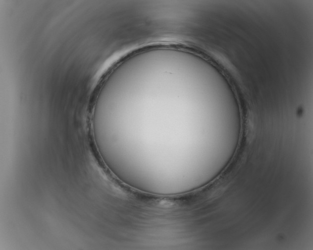 X0000116371412200912231306