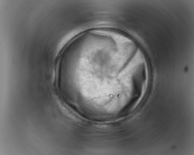 X0000116371413200912231306