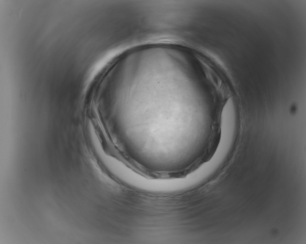 X0000116371414200912231306