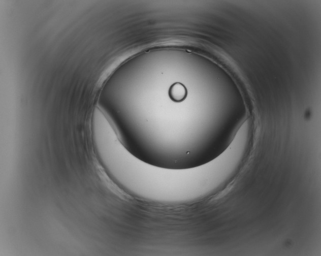 X0000116371417200912231306