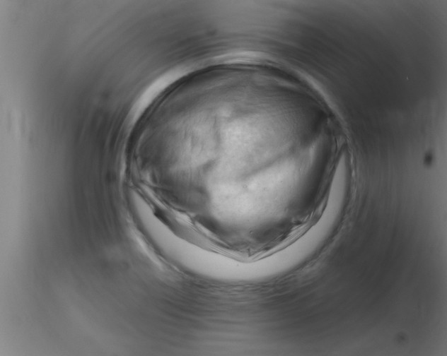 X0000116371418200912231306