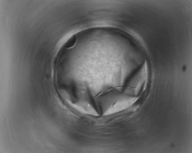 X0000116371419200912231306