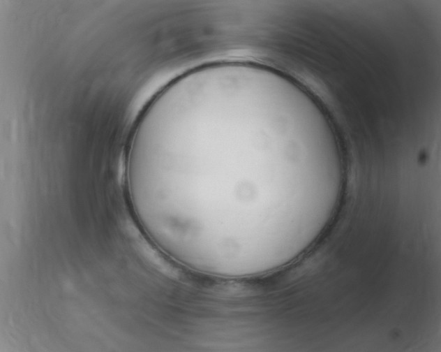 X0000116371420200912231306