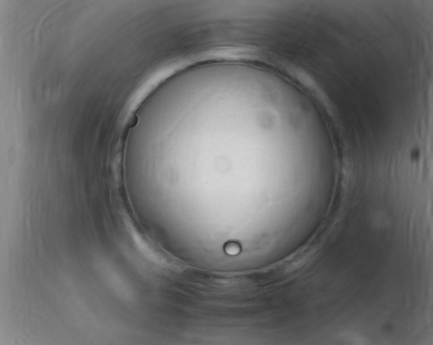 X0000116371421200912231306