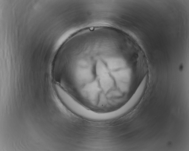 X0000116371422200912231306