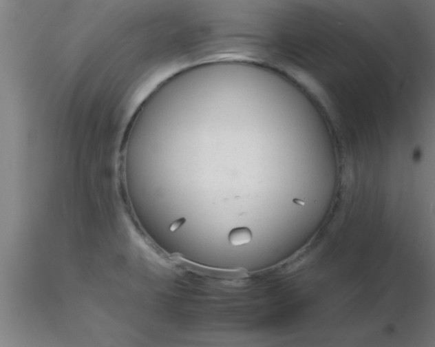 X0000116371423200912231306