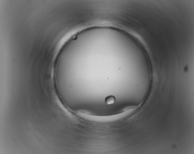 X0000116371424200912231306