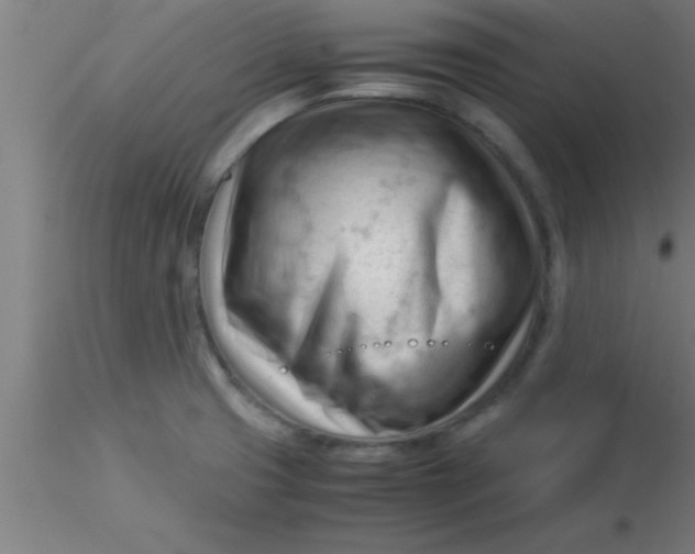 X0000116371425200912231306