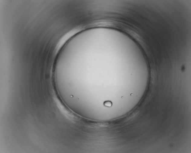 X0000116371426200912231306