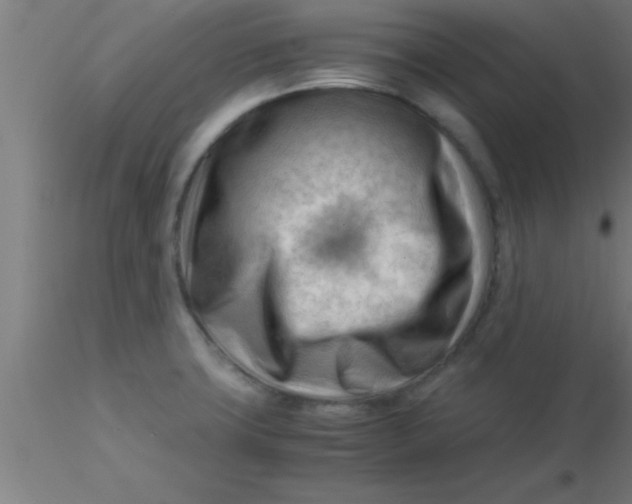 X0000116371427200912231306