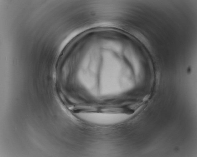 X0000116371428200912231306