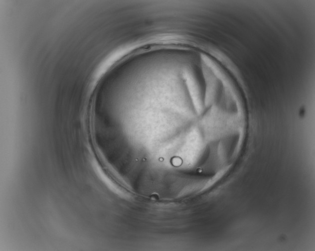 X0000116371429200912231306