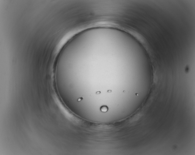 X0000116371430200912231306