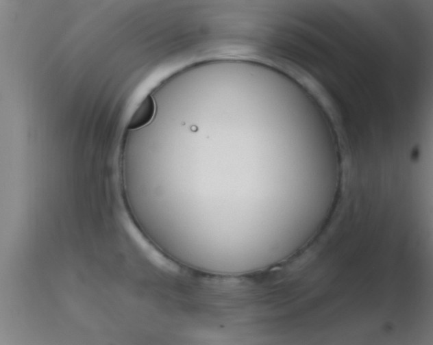 X0000116371432200912231306