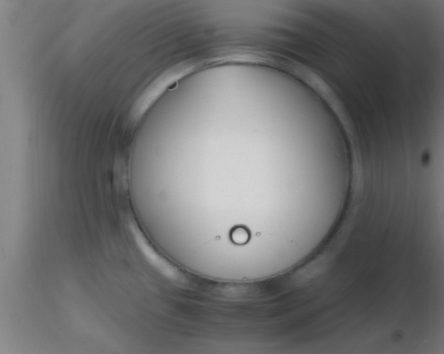 X0000116371433200912231306