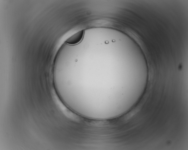 X0000116371434200912231306