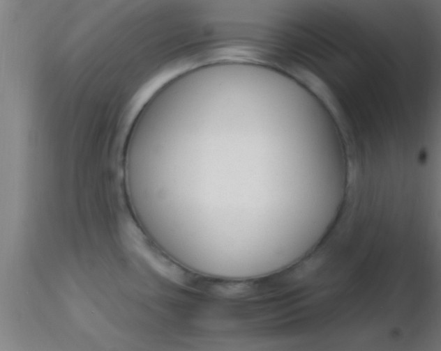 X0000116371435200912231306