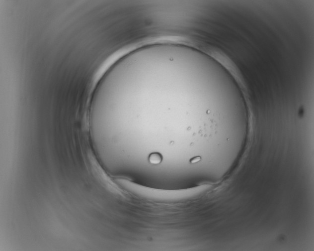 X0000116371436200912231306