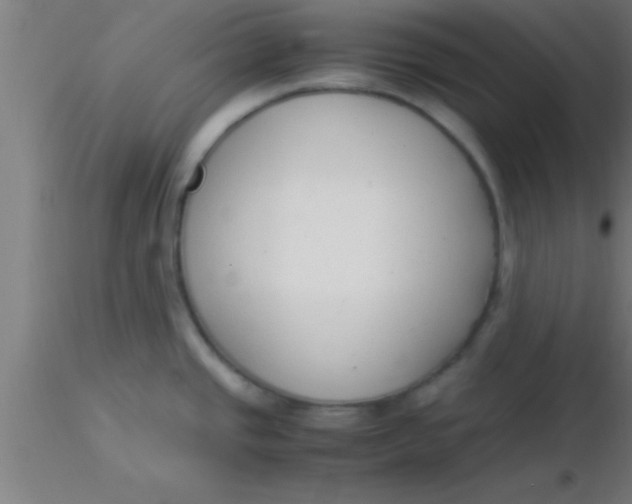 X0000116371437200912231306