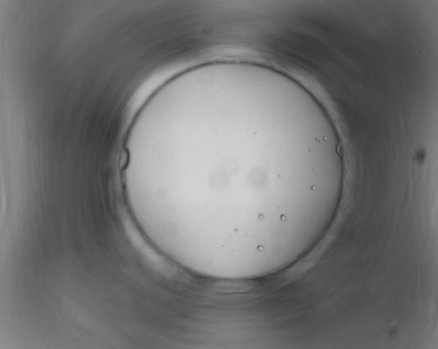 X0000116371440200912231306