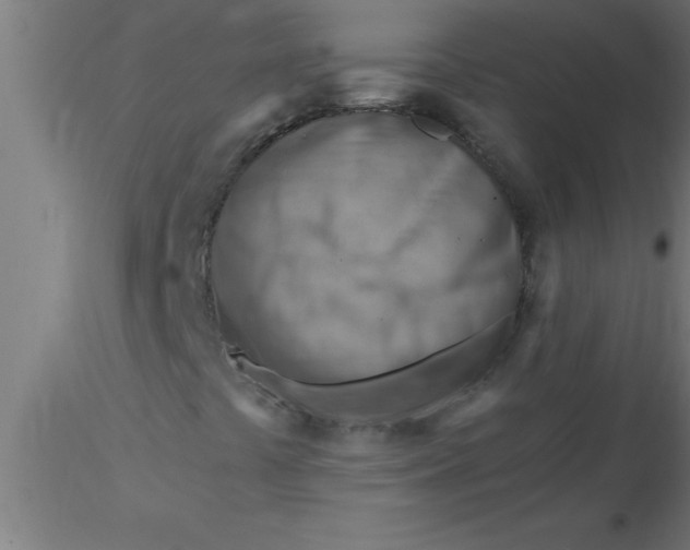 X0000116371441200912231306