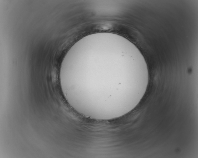 X0000116371442200912231306