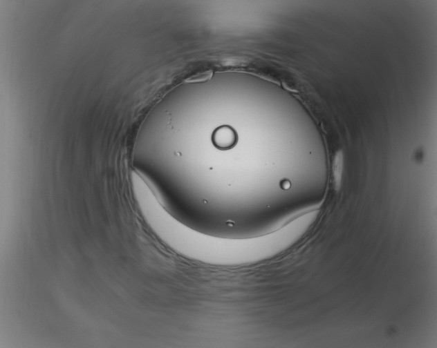 X0000116371443200912231306