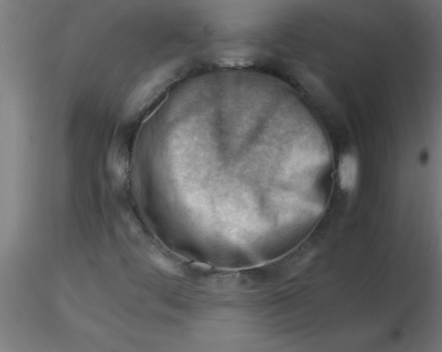 X0000116371444200912231306