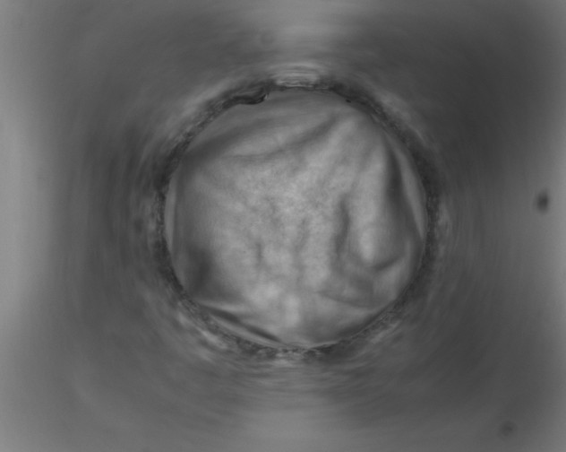 X0000116371445200912231306